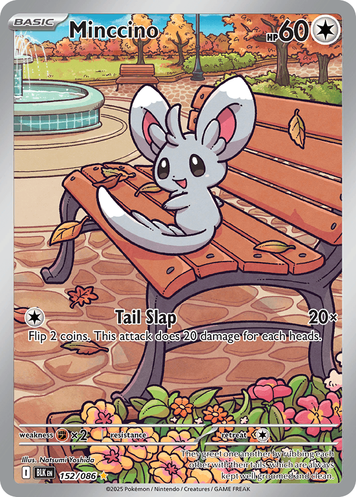 Minccino 152/086