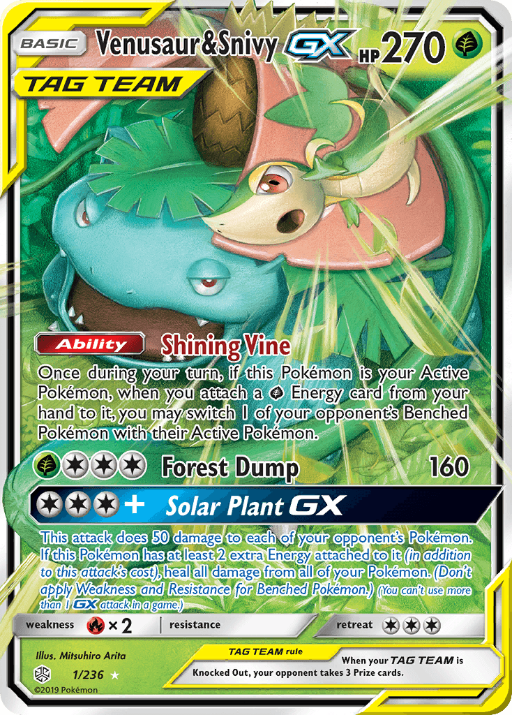 Venusaur & Snivy-GX 1