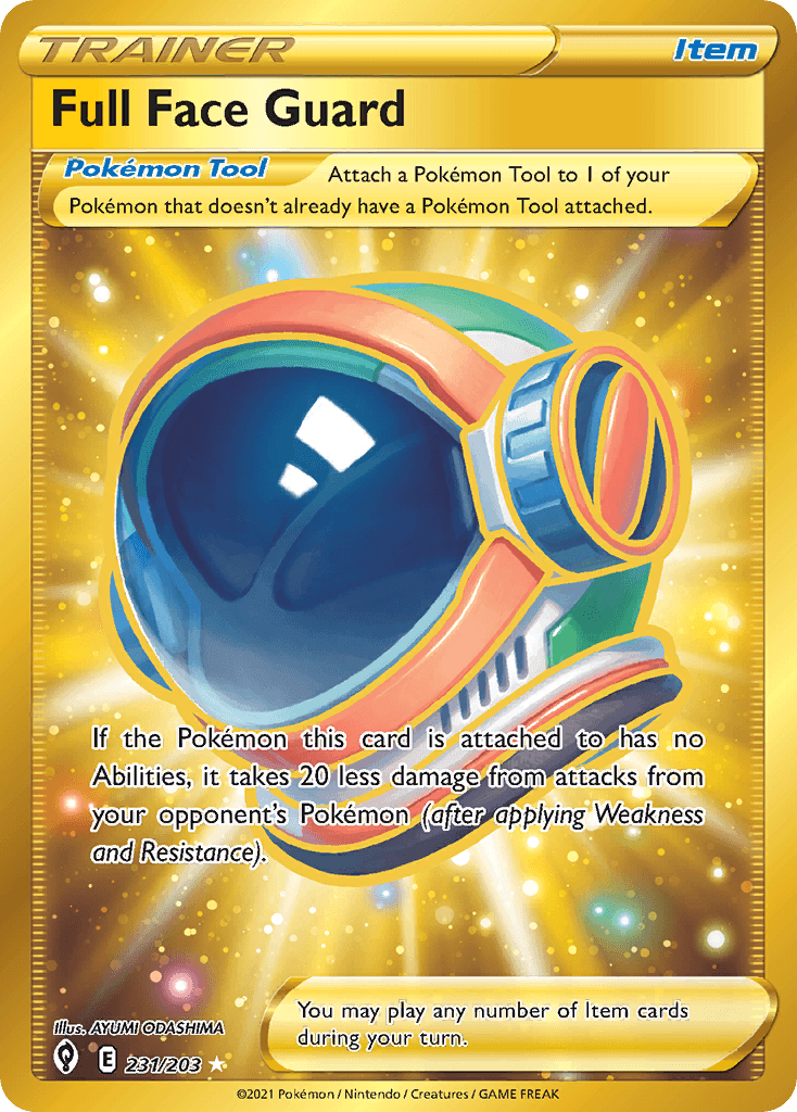 Full Face Guard 231