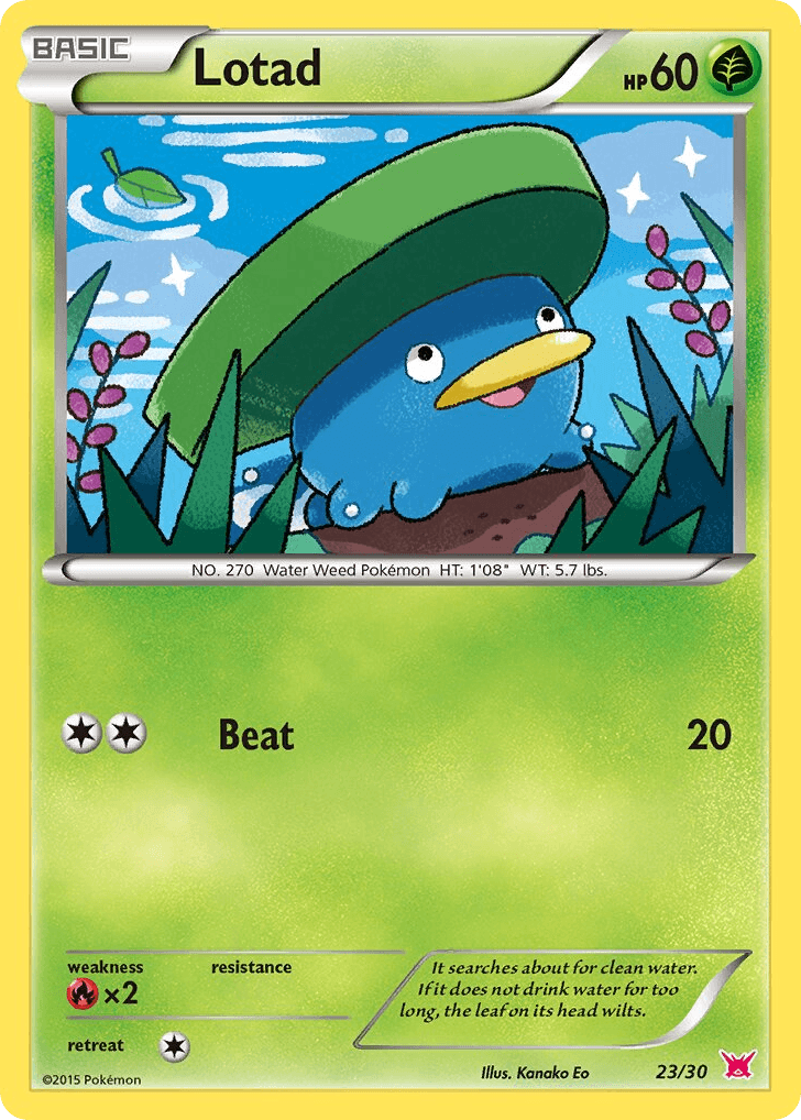 Lotad 23