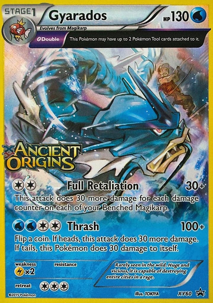Gyarados XY60